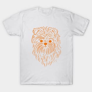 Affenpinscher (Light Blue and Orange) T-Shirt